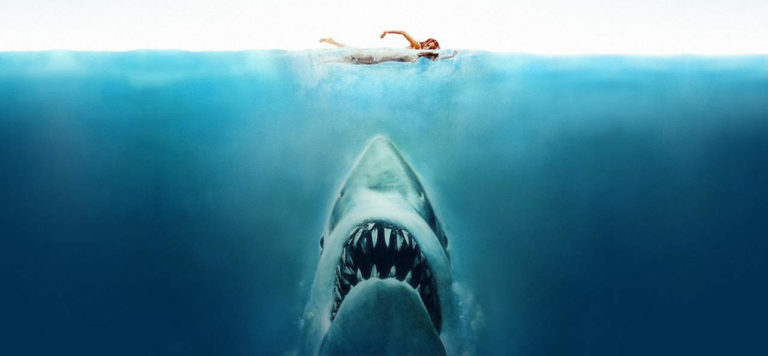 Las Aguas Poco Profundas