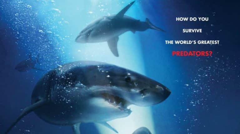 Reseña: 47 Metros Abajo (2017)