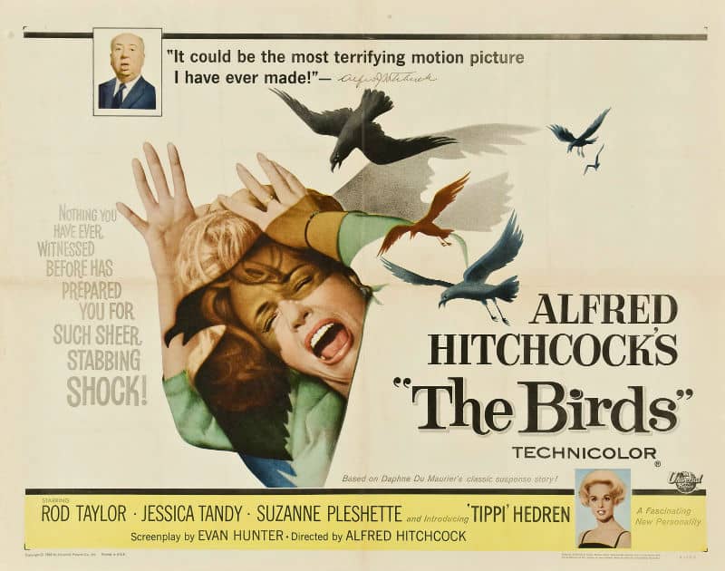The Birds (1963)