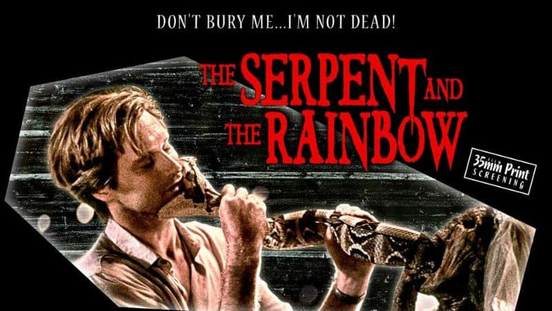La serpiente y la lluvia (1988)