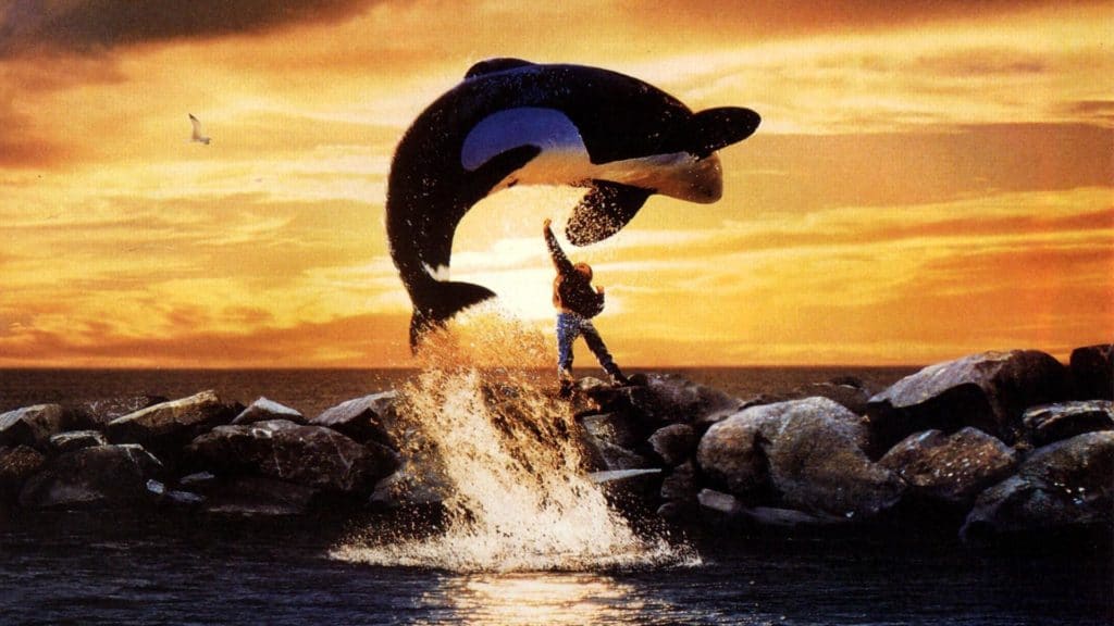 Películas sobre animales - Free Willy