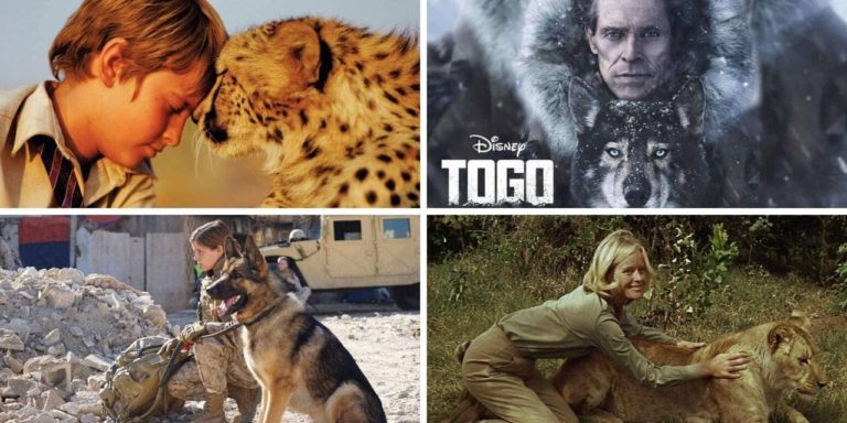 13 Mejores películas sobre la conexión entre humanos y animales