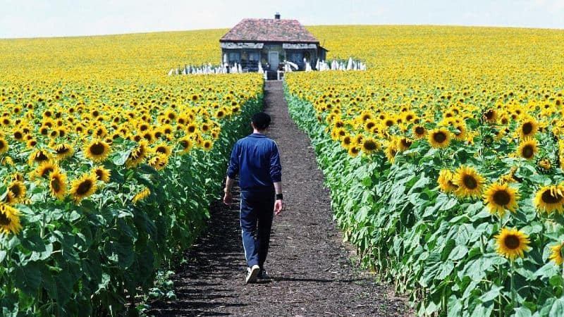 Everything Is Illuminated (2005)