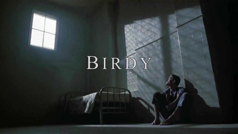 Películas de Nicolas Cage - Birdy (1984)