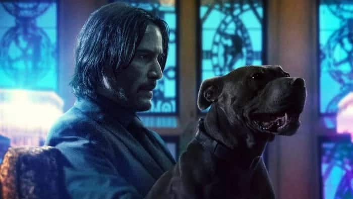 John Wick ha regresado con un nuevo perro en los últimos carteles.