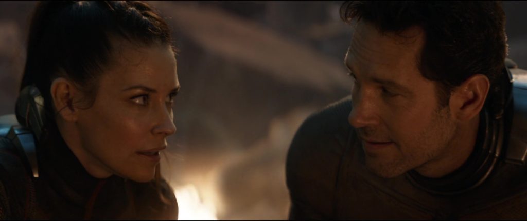 Ant-Man y Wasp, Avengers Endgame