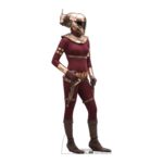 Nuevas imágenes de Star Wars: El Ascenso de Skywalker muestran a un Caballero de Ren, Poe, Finn, Rose y otros personajes.