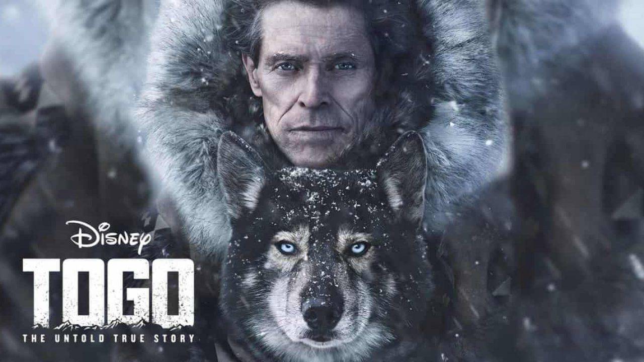 Reseña: Togo (2019)