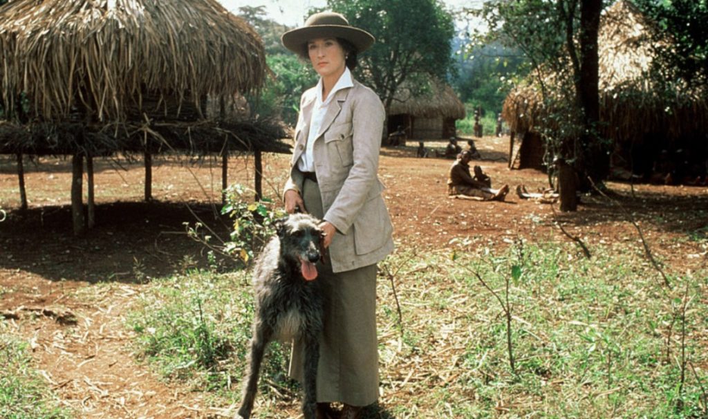 Mejor Película 1985 - Out of Africa